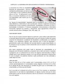 CAPÍTULO IV: LA DEMANDA POR ESPECIALIDADES DE TÉCNICOS Y PROFESIONALES