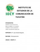 Microeconomía maximización y minimización de costos.