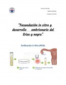 Fecundación in vitro y desarrollo embrionario del Erizo y negro