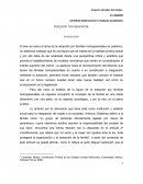 Adopción homoparental. Marco referencial de adopción