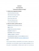 FASE ORGANIZATIVA ORGANIZACION DE GRUPOS