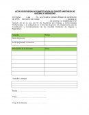 Acta de difusion de Constitucion de comité paritario de higiene y seguridad