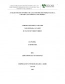 ANALISIS SOCIOECONOMICOS D CABILDOS INDIGENAS.