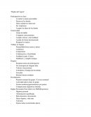 El objetivo de nuestro plan de comunicación es crear conciencia y dar consejos.