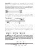 Teoría musical básica