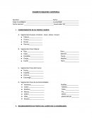 Examen esquema corporal.