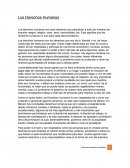 Los Derechos Humanos. Ensayo