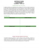 MATRIZ FODA: BALANCE FINAL.