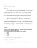 Procesos para la elaboración del pan.