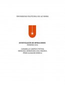 Plan de requerimientos brutos.