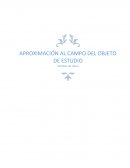APROXIMACIÓN AL CAMPO DEL OBJETO DE ESTUDIO