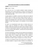 CARACTERIZACIÓN GENERAL DEL NIÑO DE SEGUIMIENTO.