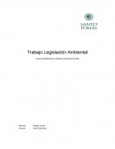 Trabajo Legislación Ambiental Acuerdos Bilaterales en Materia Ambiental de Chile