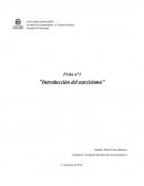 Introducción al Narcisismo.