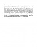 Comentario personal Estructuras elementales Levi-Strauss.