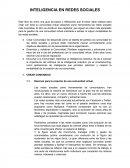 INTELIGENCIA EN REDES SOCIALES