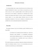 Las inferencias en la lectura.