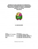 LA SOCIOLOGÍA.