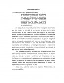 El Presupuesto público - RESUMEN