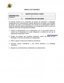 MANUAL DE FUNCIONES - APUNTES VARIOS.
