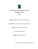 TRABAJO: RESUMEN DE LA PELÍCULA “WITH HONORS”.