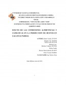 EFECTO DE LAS CONDICIONES ALIMENTICIAS Y CLIMATICAS EN LA PRODUCCION DE HUEVOS EN GALLINAS PARDAS. .