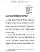 Demanda de restitucion de menores.