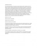 LA GRAN CONVIVENCIA ESCOLAR..