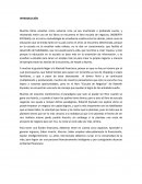 Ensayo escuela de negocio.