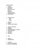 Análisis situacional de empresa.