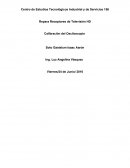 Exposicion y reporte sobre los circuitos.