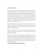 Pobreza del sector Valle Encantado