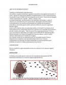 FECUNDACION ¿QUE ES UN ESPERMATOZOIDE ?