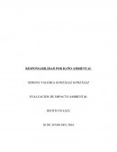 Responsabilidad por daño ambiental LGBMA.
