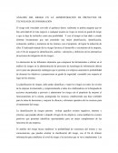 Análisis del riesgo en la Administración de Información.