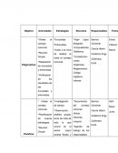 Proyecto de consejos comunales.