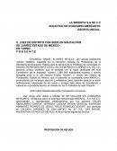 SOLICITUD DE CONCURSO MERCANTIL.