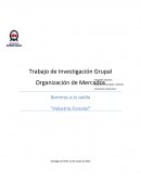 Industria Forestal en Chile