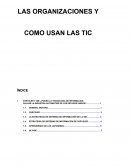 LAS ORGANIZACIONES Y COMO USAN LAS TIC