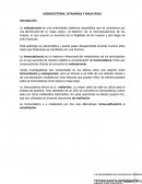 HOMOCISTEÍNA, VITAMINAS Y MASA ÓSEA