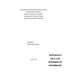 Introduccion a los sistemas de informacion gerencial