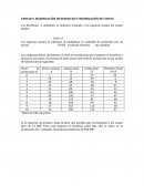 MAXIMIZACIÓN DE BENEFICIOS Y MINIMIZACIÓN DE COSTOS.