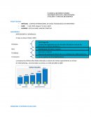 Uso de Licencias Ilegales en el Software utilizado por la compañía.