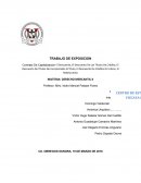 TRABAJO DE EXPOSICION - MERCANTIL