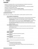 RESUMEN ANATOMIA TORAX.