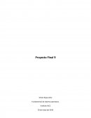 Proyecto final iacc fundmentos de hardware