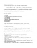 Tema: Desarrollo económico.