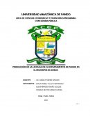 PRODUCCIÓN DE LA LECHUGA EN EL DEPARTAMENTO DE PANDO EN EL MUNICIPIO DE COBIJA