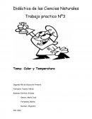 Trabajo practico Nº3. Calor y temperatura