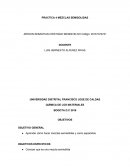 Mezclas semisolidas.